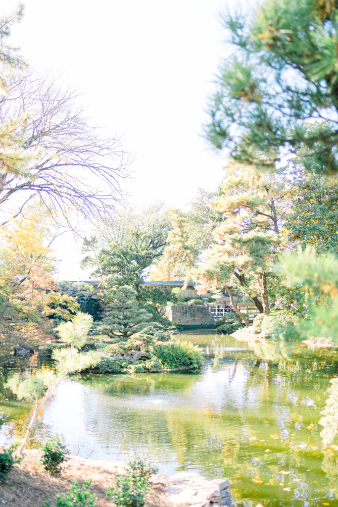 Fort Worth Japanese Gardens